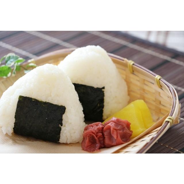 コシヒカリ （玄米15kg/白米13.5kg） 2025年令和7年産 愛媛 石鎚山麓