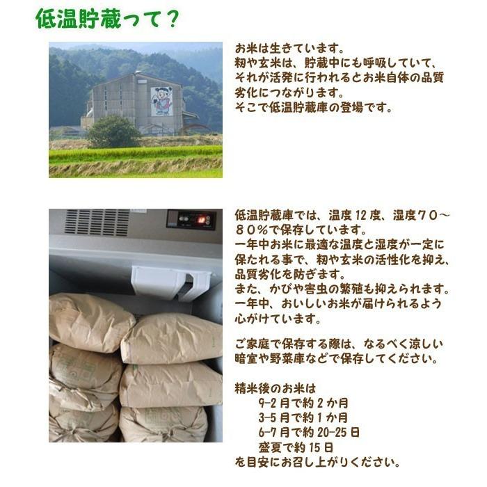 もち米 (玄米15kg or 白米13.5kg) 2025年令和7年産 石鎚山麓 久万高原