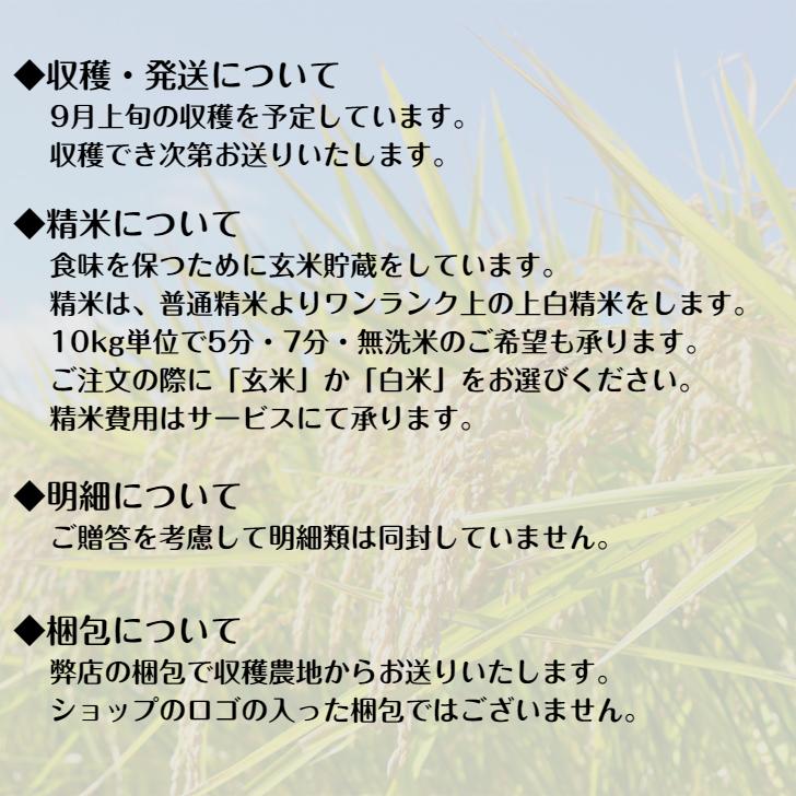 もち米 玄米500g4合/白米450g3.5合 2023年産 石鎚山麓 久万高原 清流米 減農薬 特別栽培米 百姓直送 送料無料 メール便｜uwakai-s｜08