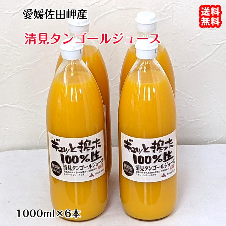 愛媛 佐田岬産 清見タンゴールジュース 1000ml×6本 完熟の果汁