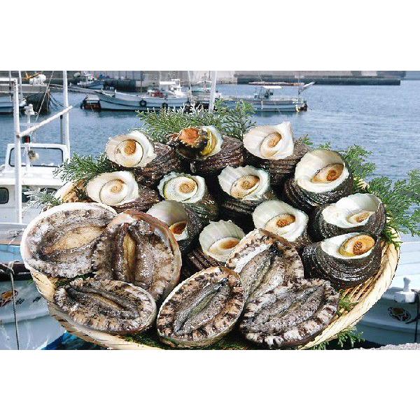 黒アワビ（1~2個で150~200g）と サザエ（8~12個で900~1000g） 愛媛 浜