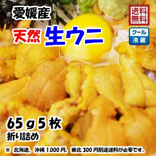 生ウニ 板ウニ 60g5枚 愛媛 天然 紫ウニ 赤ウニ 素潜り海士 送料無料 北海道/沖縄/東北は別途送料 浜から直送 宇和海の幸問屋 愛媛百貨店｜uwakai-s