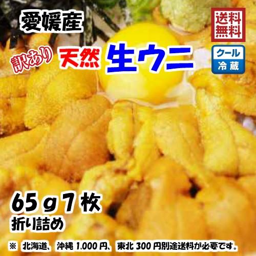 生ウニ 板ウニ 訳あり 60g7枚 愛媛 天然 紫ウニ 赤ウニ 素潜り海士 送料無料 北海道/沖縄/東北は別途送料 浜から直送 宇和海の幸問屋｜uwakai-s