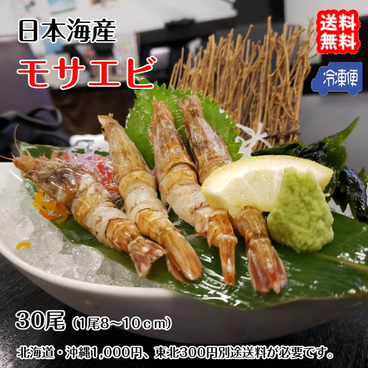 モサエビ 30尾 1尾約8-10cm 冷凍 鳥取 境港 幻のエビ 甘エビを超える旨