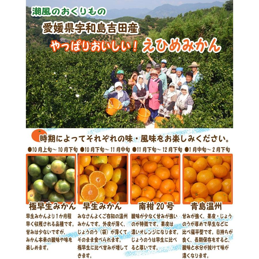 愛媛 みかん 訳あり （10kg） 宇和島 吉田産 農地直送 送料込み 北海道