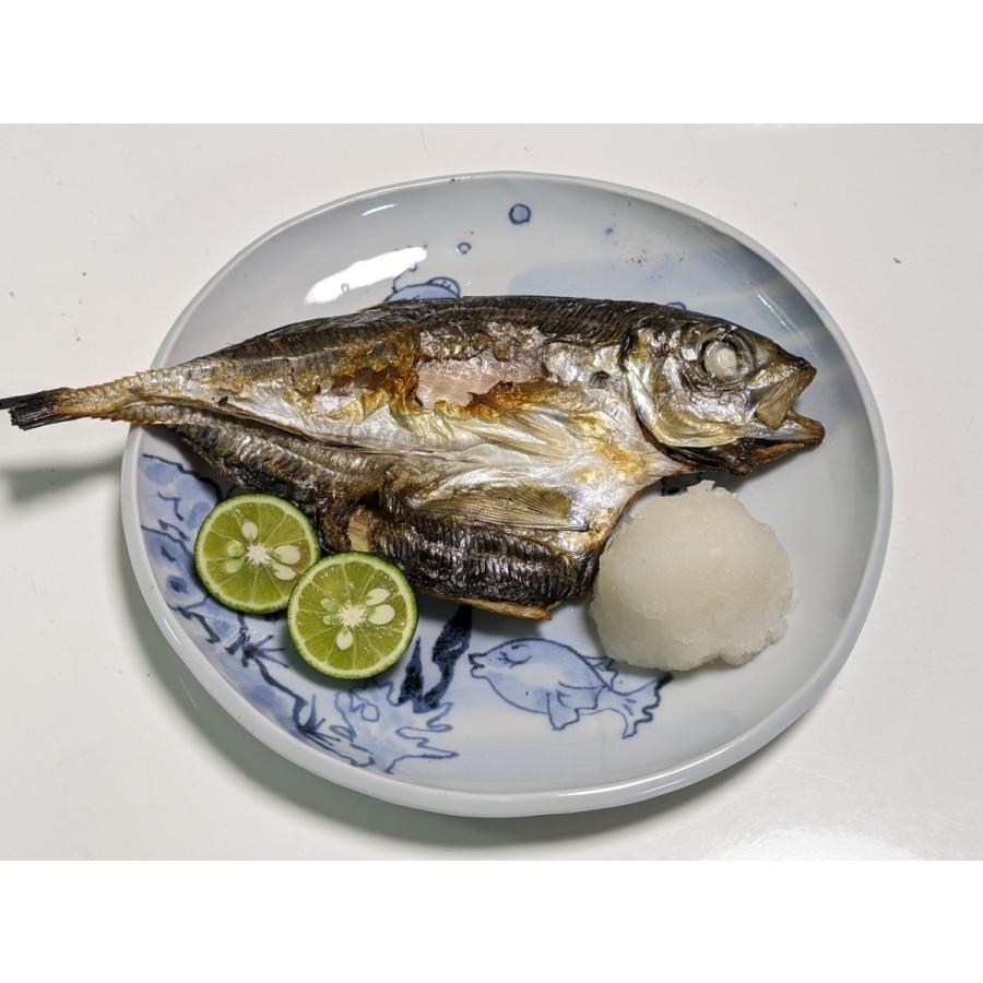 愛媛 佐田岬 アジの開き 100 150g 2枚 冷凍 送料無料 浜から直送 無添加 無着色 宇和海の幸問屋 Msg Ti Mah S2 宇和海の幸問屋 通販 Yahoo ショッピング
