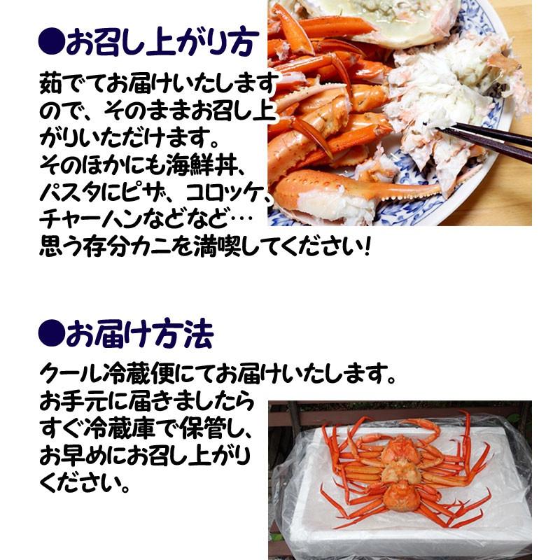 紅ズワイガニ 浜ゆでボイル 大 700-900g×1杯 鳥取 境港 浜茹で直送 そのままで 鍋で 焼いて サラダで 送料無料 宇和海の幸問屋の画像