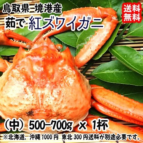 紅ズワイガニ 浜ゆでボイル 中 500-700g×1杯 鳥取 境港 浜茹で直送 そのままで 鍋で 焼いて サラダで 送料無料 宇和海の幸問屋