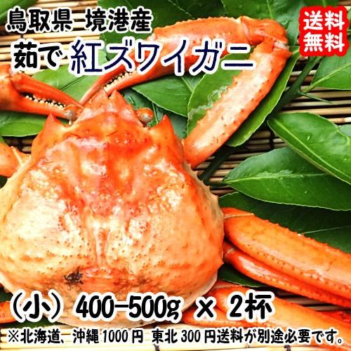 紅ズワイガニ 浜ゆでボイル 小 400-500g×2杯 鳥取 境港 浜茹で直送 そのままで 鍋で 焼いて サラダで 送料無料 宇和海の幸問屋
