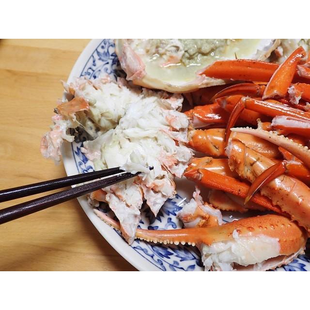 紅ズワイガニ 浜ゆでボイル 小 400-500g×2杯 鳥取 境港 浜茹で直送 そのままで 鍋で 焼いて サラダで 送料無料 宇和海の幸問屋の画像