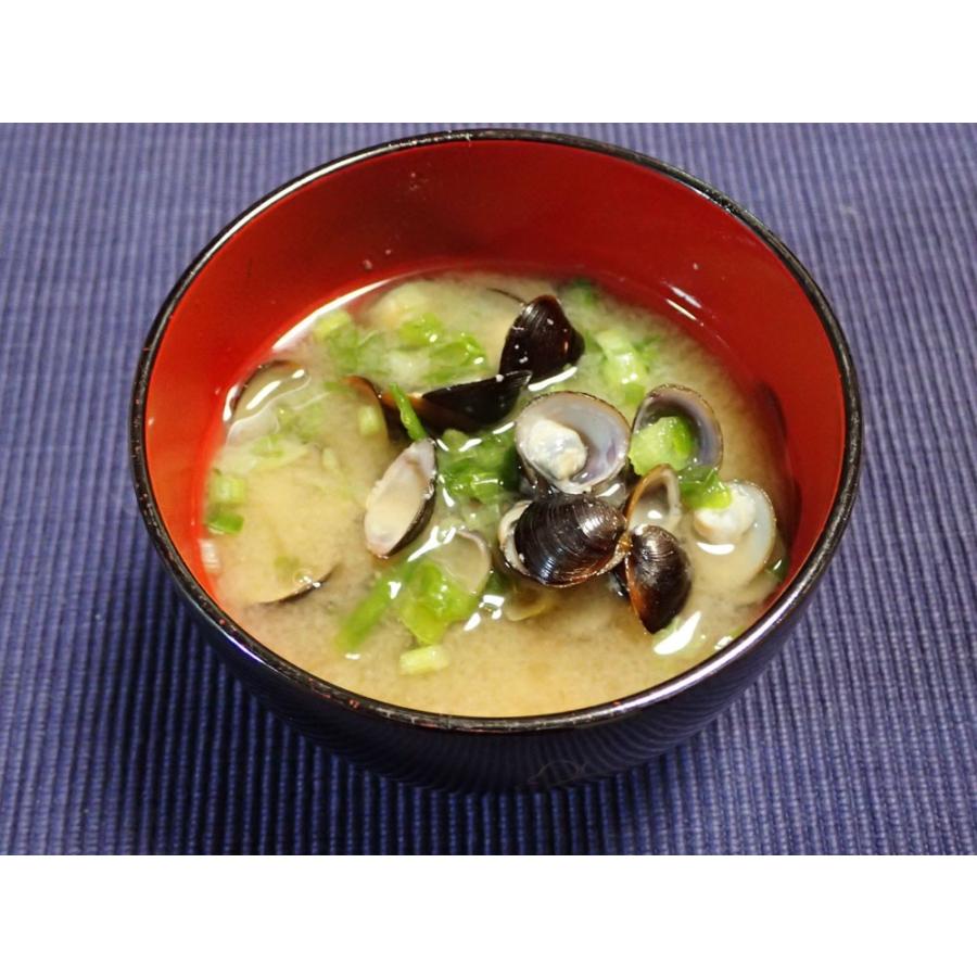 島根 宍道湖 しじみ 500g2袋 漁獲量日本一 昔ながらの栄養源 送料無料 宇和海の幸問屋 Os Shijimi 1kg 宇和海の幸問屋 通販 Yahoo ショッピング