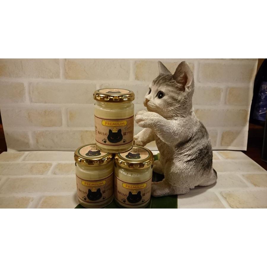 坂の上の猫プリン プレミアム 1ｇ6個 Sakanouenoneko Premium 宇和海の幸問屋 通販 Yahoo ショッピング