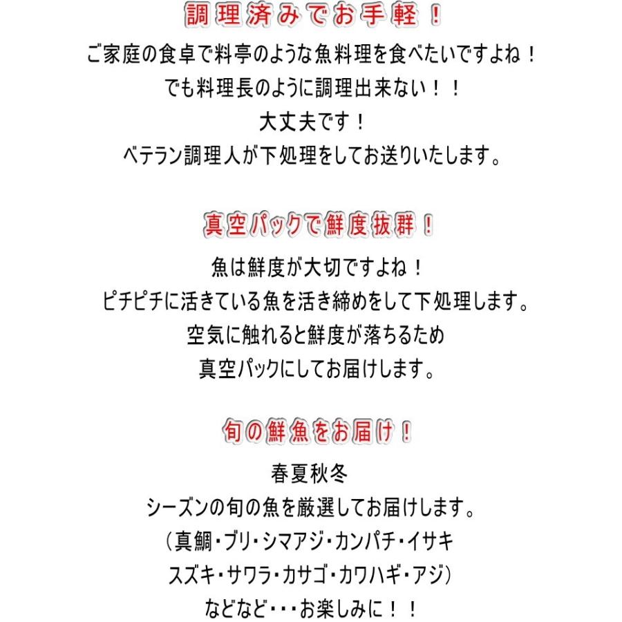 愛媛 漁師におまかせ お手軽鮮魚セット 5人前 刺身 煮魚 焼魚 下処理済み 送料無料 宇和海の幸問屋 Ss Ss 5p 宇和海の幸問屋 通販 Yahoo ショッピング