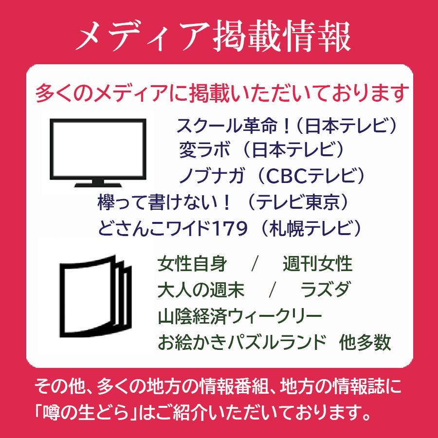 噂の生どら(小倉・珈琲)10個セット どら焼き ギフト｜uwasanonamadora｜04