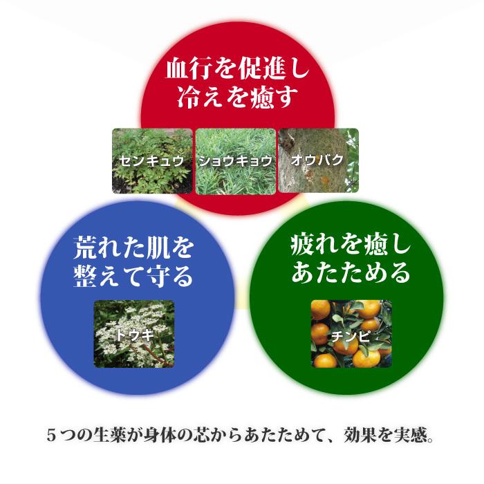 薬用 入浴剤 百薬湯 30g×3P お試し ポイント消化 生薬 冷え症 ギフト