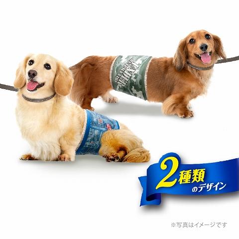 マナーウェア 男の子用 S 迷彩 46枚 /マナーウェア 犬 おむつ