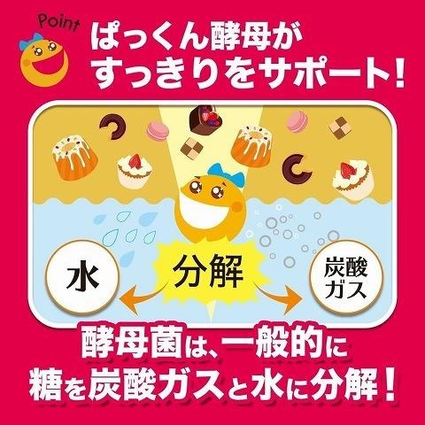 3倍ぱっくん分解酵母 プレミアム 100粒 /3倍ぱっくん分解酵母