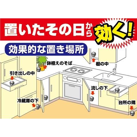 アース製薬 アース ブラックキャップ スキマ用 16個入/ 殺虫剤 アース製薬 アース ブラックキャップ スキマ用 16個入/ 殺虫剤