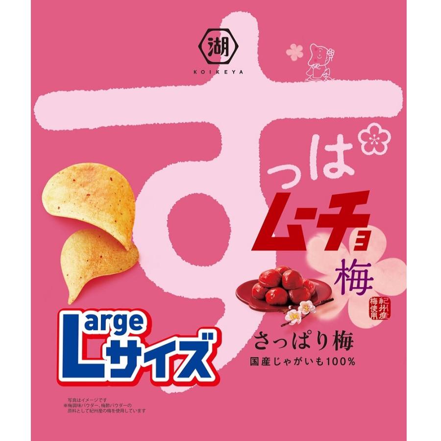 Largeサイズ すっぱムーチョチップス さっぱり梅 108g×12個セット