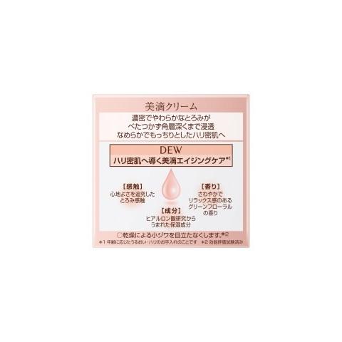 Kanebo（カネボウ） DEW クリーム 30g /カネボウ DWE クリーム : V