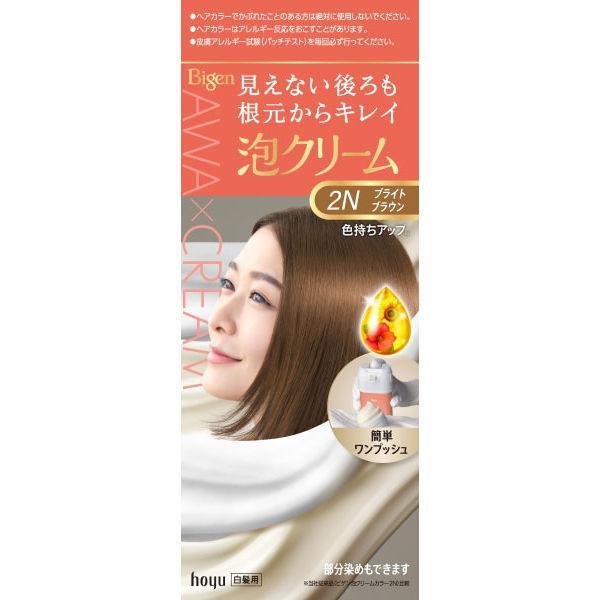ビゲン 泡クリームカラー 2N ブライトブラウン 90g＋5ml/ヘア