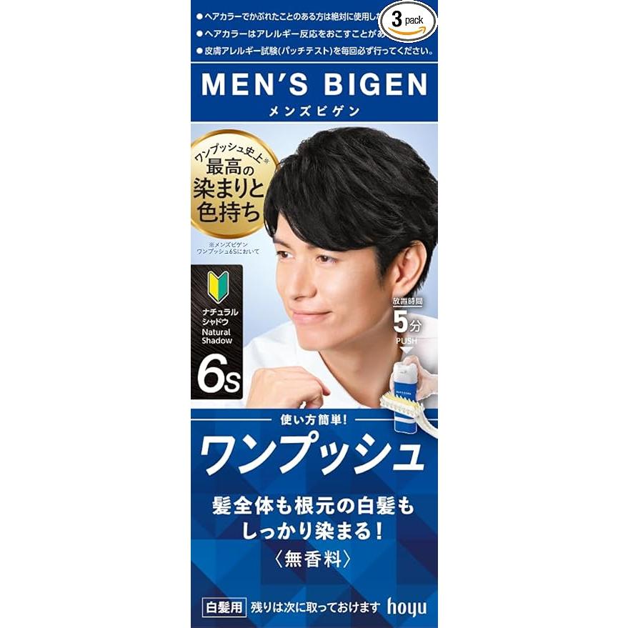 メンズビゲン ワンプッシュ 6S ナチュラルシャドウ 1セット