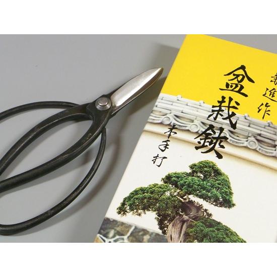 盆栽鋏 兼進作 青紙 青鋼 全長175mm No.42A かねしん : 岐阜関刃物工房