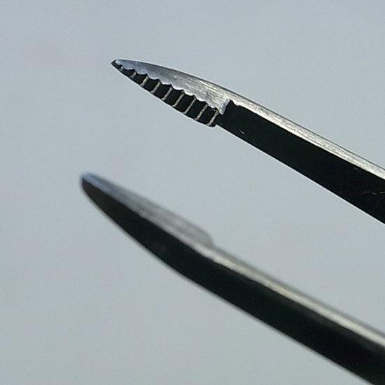 送料無料 盆栽 松葉抜きピンセット 兼進作 直 210mm No.62 : 岐阜関