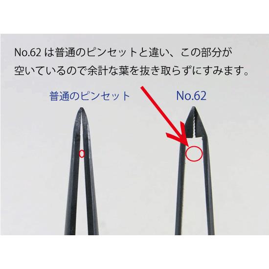 送料無料 盆栽 松葉抜きピンセット 兼進作 直 210mm No.62 : 岐阜関