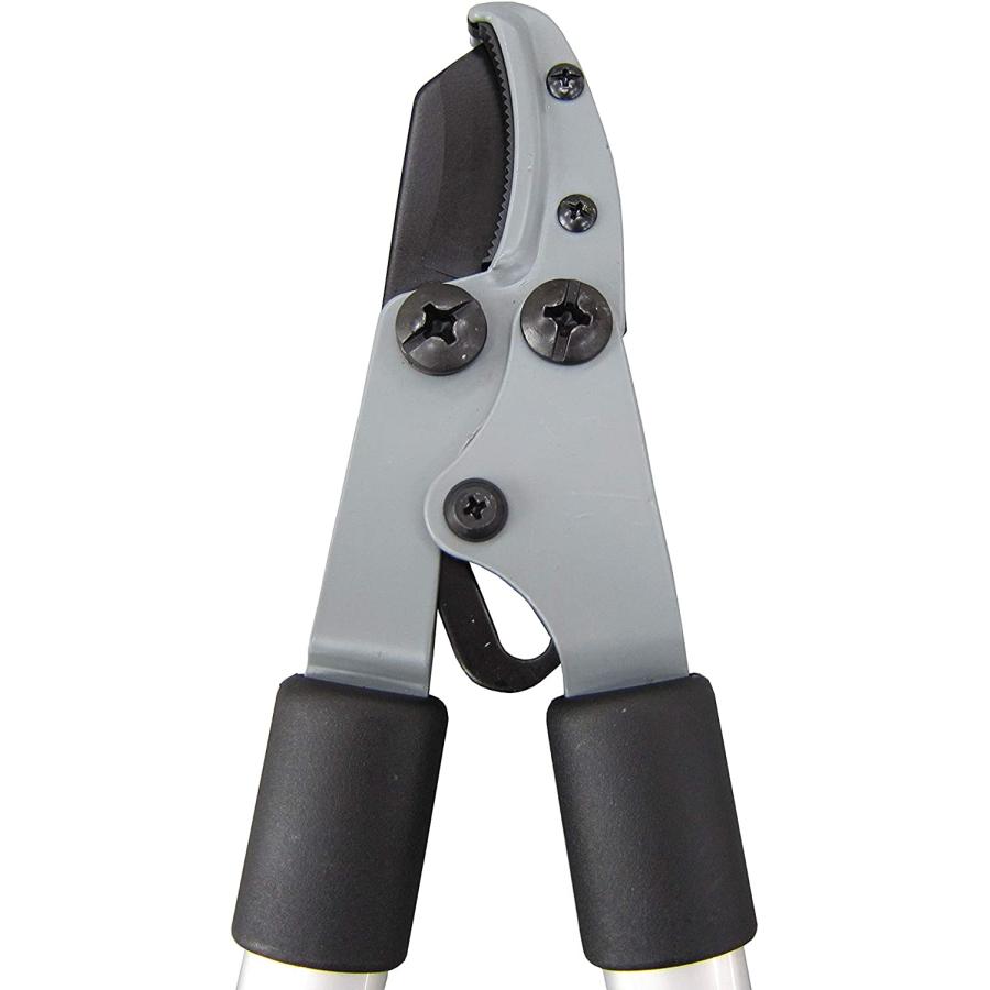 七寸五分 薄刃 呉竹 ぼくちすずり 四五平 HC15-45S 書道用硯 軽量タイプ 両面タイプ