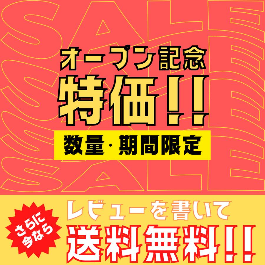 最新型【 10個 】日立 maxell マクセル 正規品 日本製 SR927W 酸化銀電池 ボタン電池 電池 時計 腕時計 水銀・鉛不使用 高品質 国産 送料無料｜v-techlab｜04