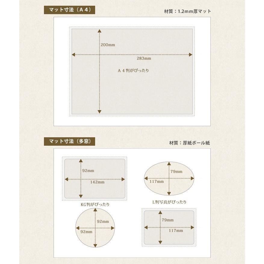 万丈（VANJOH） フォトフレーム ワイド四切(内寸369x256mm) A4/多窓