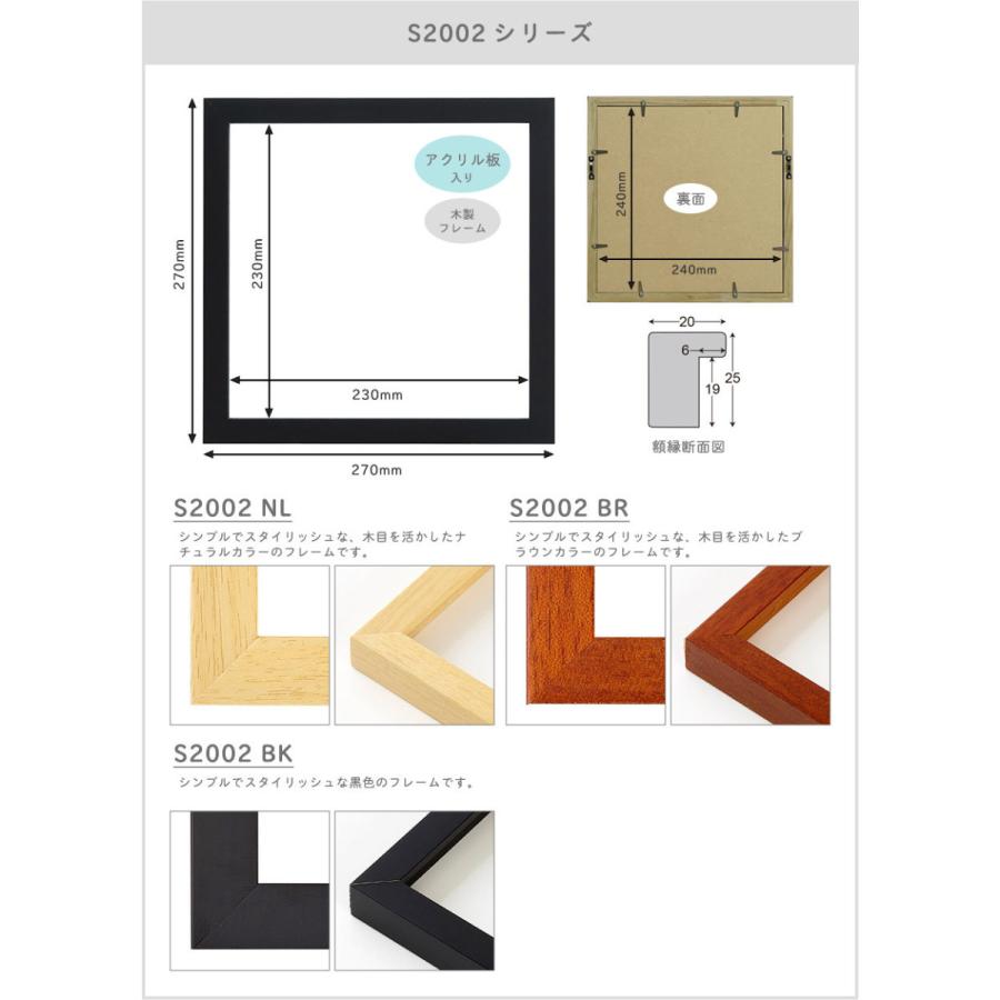 万丈（VANJOH） CD ジャケット 額 25角 24×24cmサイズ専用 フレーム