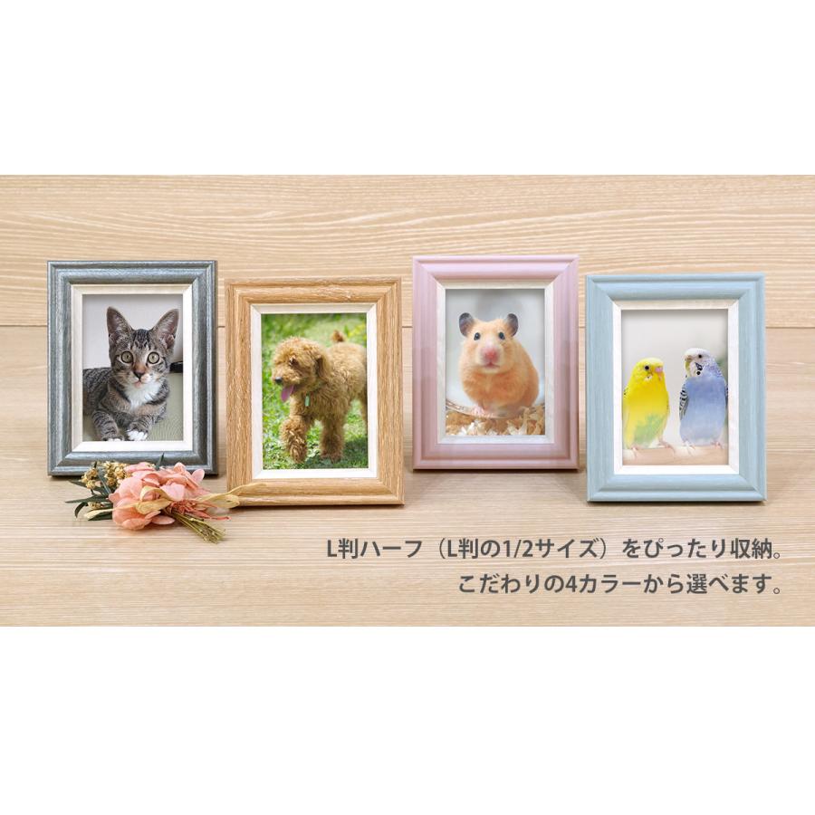 万丈（VANJOH） Vミニフレーム ラフィネ L判ハーフ（1/2Lサイズ）64