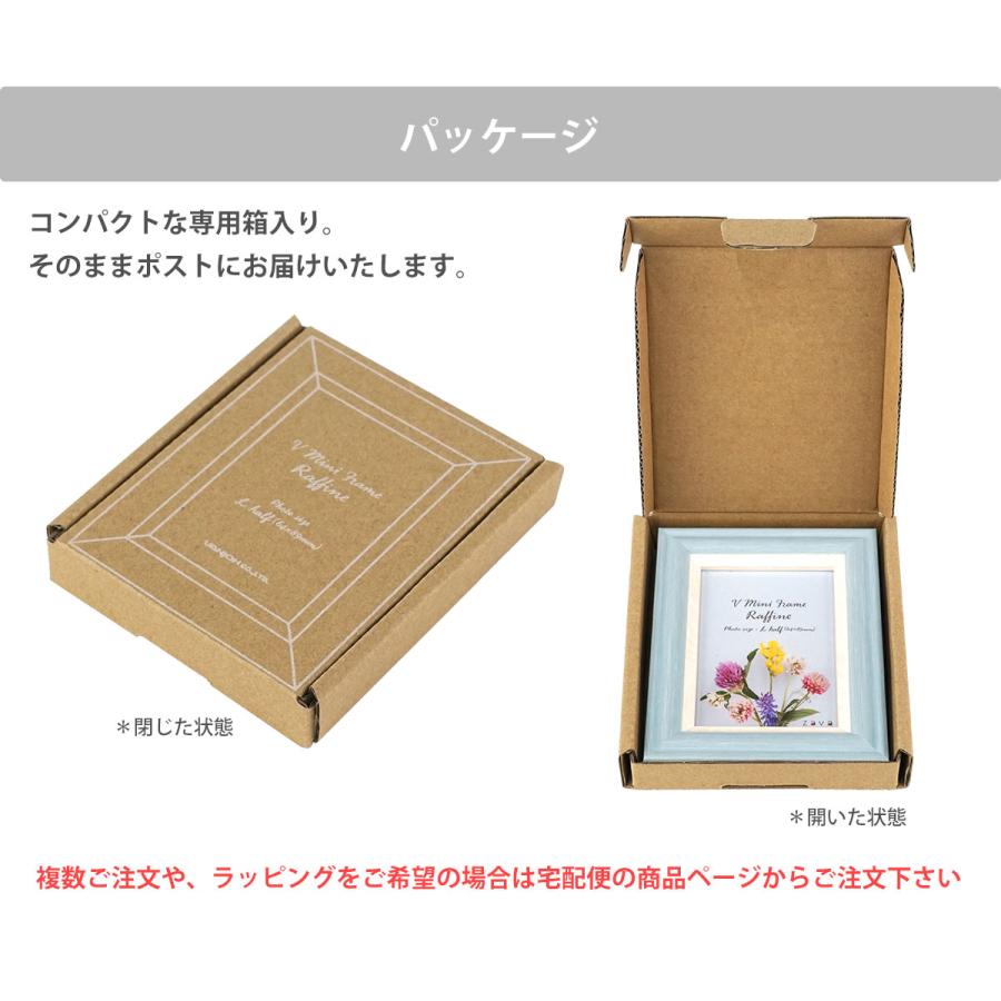 万丈（VANJOH） メール便配送 Vミニフレーム ラフィネ L判ハーフ（1/2L