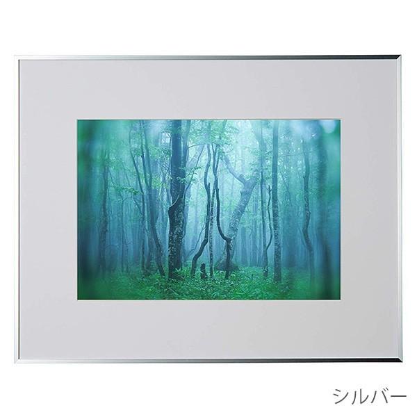 ケンコー・トキナー（KenkoTokina） 受発注商品 アルミ額縁 ギャラリー
