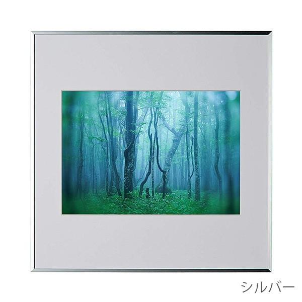 ケンコー・トキナー（KenkoTokina） 受発注商品 アルミ額縁 ギャラリー