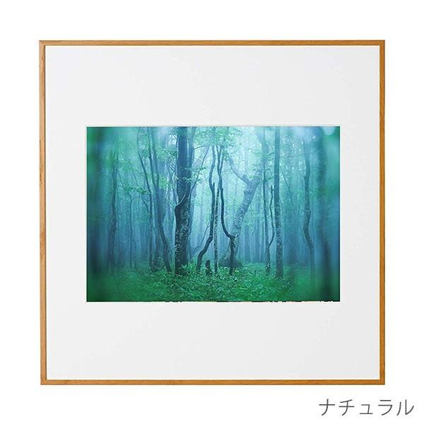 ケンコー・トキナー（KenkoTokina） 受発注商品 アルミ額縁 ギャラリー