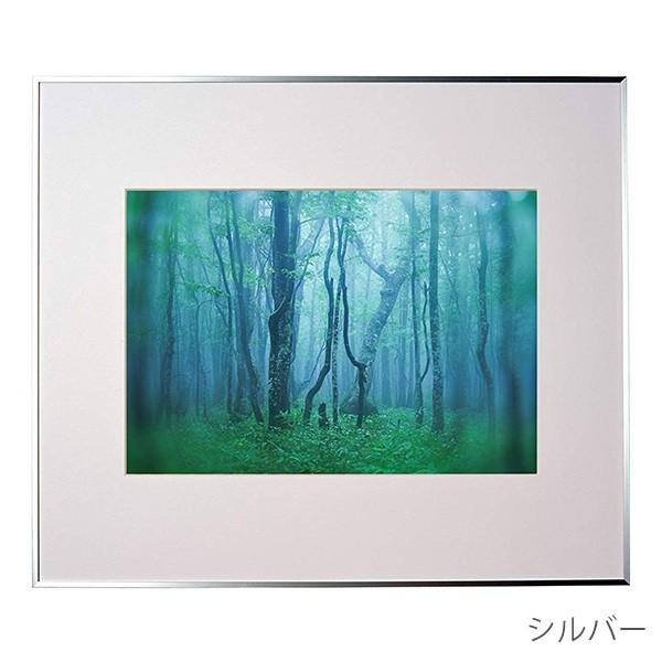 受発注商品 ケンコー・トキナー アルミ額縁 ギャラリー A3