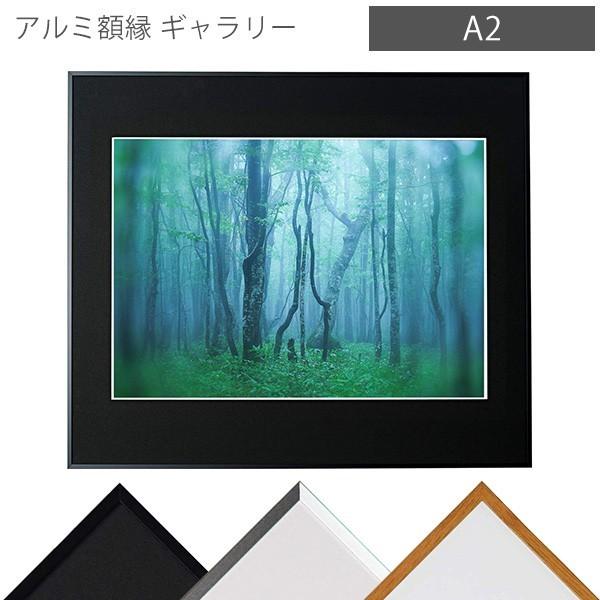 ケンコーギャラリーアルミ製A2ワイド黒マット写真額縁５枚セット ケンコー・トキナー（KenkoTokina） 受発注商品 アルミ額縁 ギャラリー
