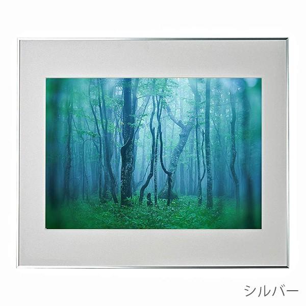 ケンコー・トキナー（KenkoTokina） 受発注商品 アルミ額縁 ギャラリー