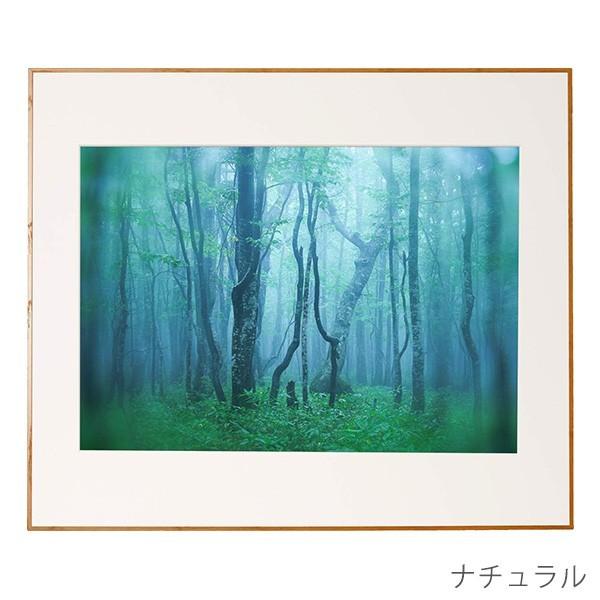 ケンコー・トキナー（KenkoTokina） 受発注商品 アルミ額縁 ギャラリー