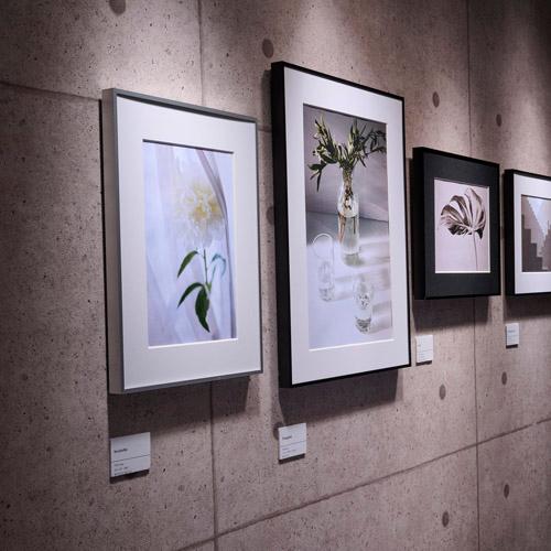 HAKUBA（ハクバ） アルミ額縁 HFA-03 A4サイズ 全3色 面材ガラス