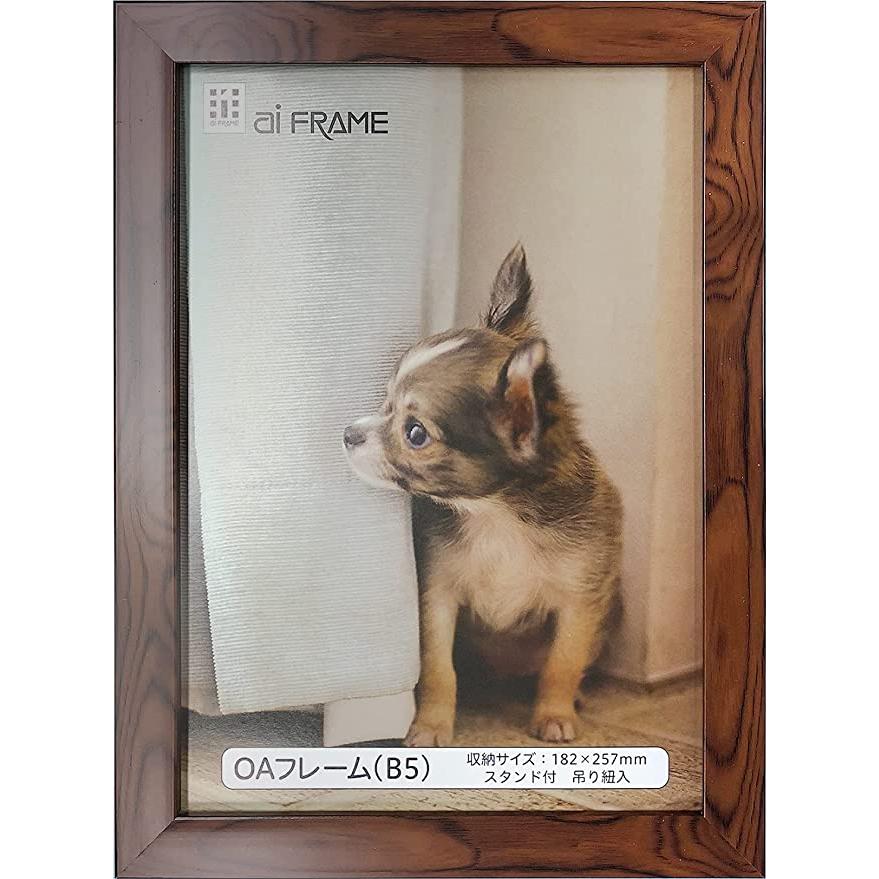 イワタ ai FRAME OAフレーム B5 ピンク/ブラウン/ナチュラル/ホワイト JOAB5 額縁 A166005006額縁