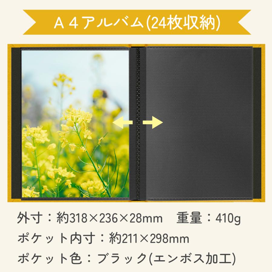 フォトアルバム A4判 24枚収納 Sorbet ソルベ 全5色 送料無料 : 額縁