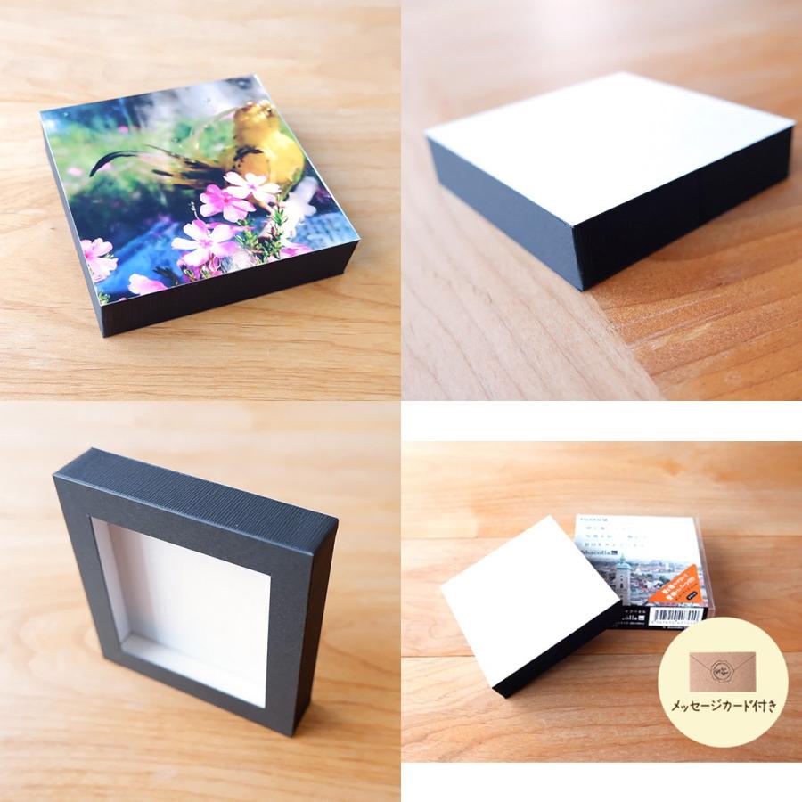 FUJIFILM（フジフイルム） フォトパネル シャコラBOXタイプ（Shacolla