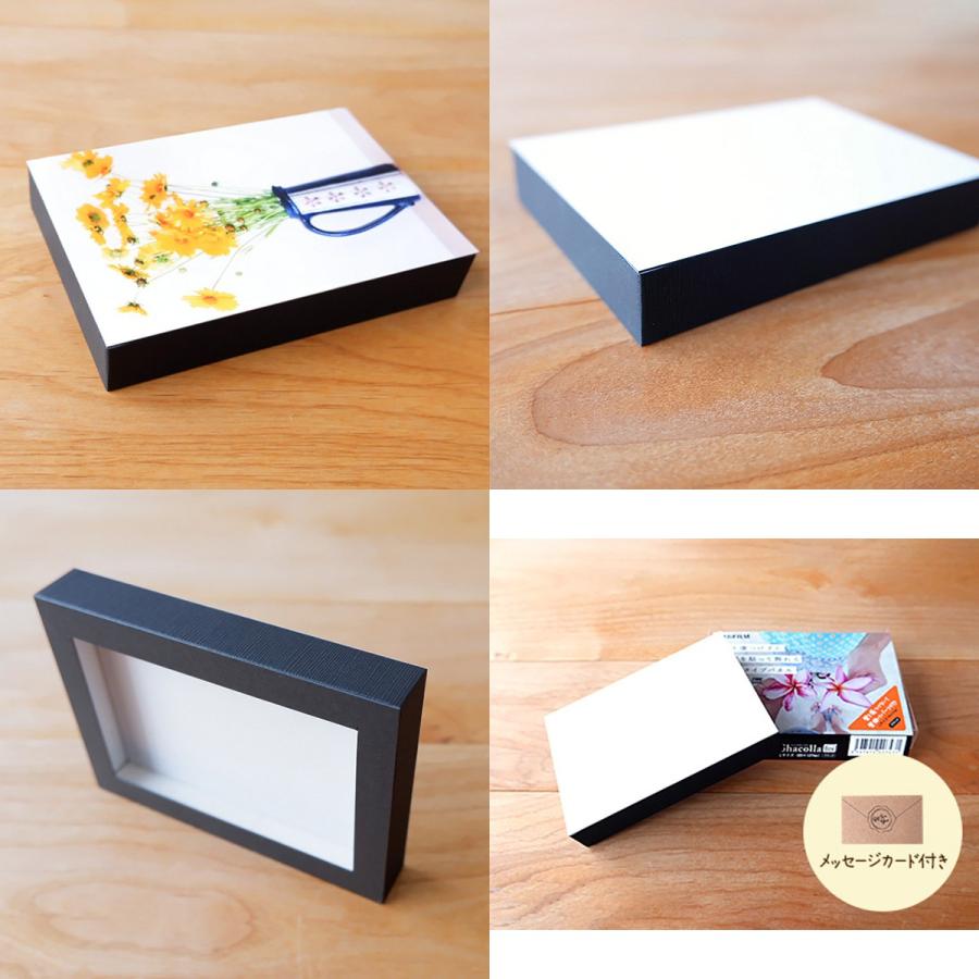 FUJIFILM（フジフイルム） フォトパネル シャコラBOXタイプ（Shacolla