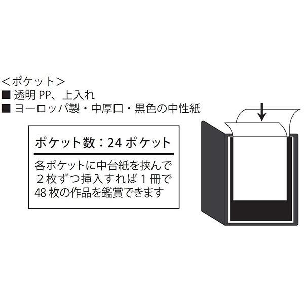 受発注商品 ナカバヤシ ポケットアルバム プロフォリオ A3ノビ判 24ポケット 48枚収納 ブラック Ia 12 13n 70 108 額縁 アルバム 雑貨の老舗 万丈 通販 Yahoo ショッピング