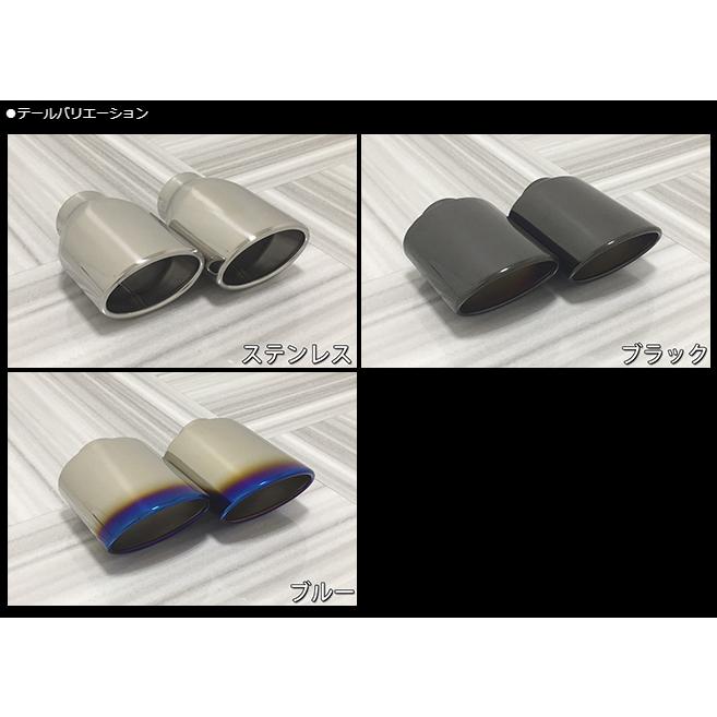 V-VISION ランクル250 (3BA-TRJ250W)ガソリン車 左右2本出し サイド