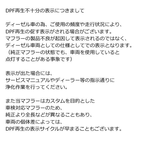 V-VISION ランクル (3DA-FJA300W)ディーゼル車 左右2本出し サイド
